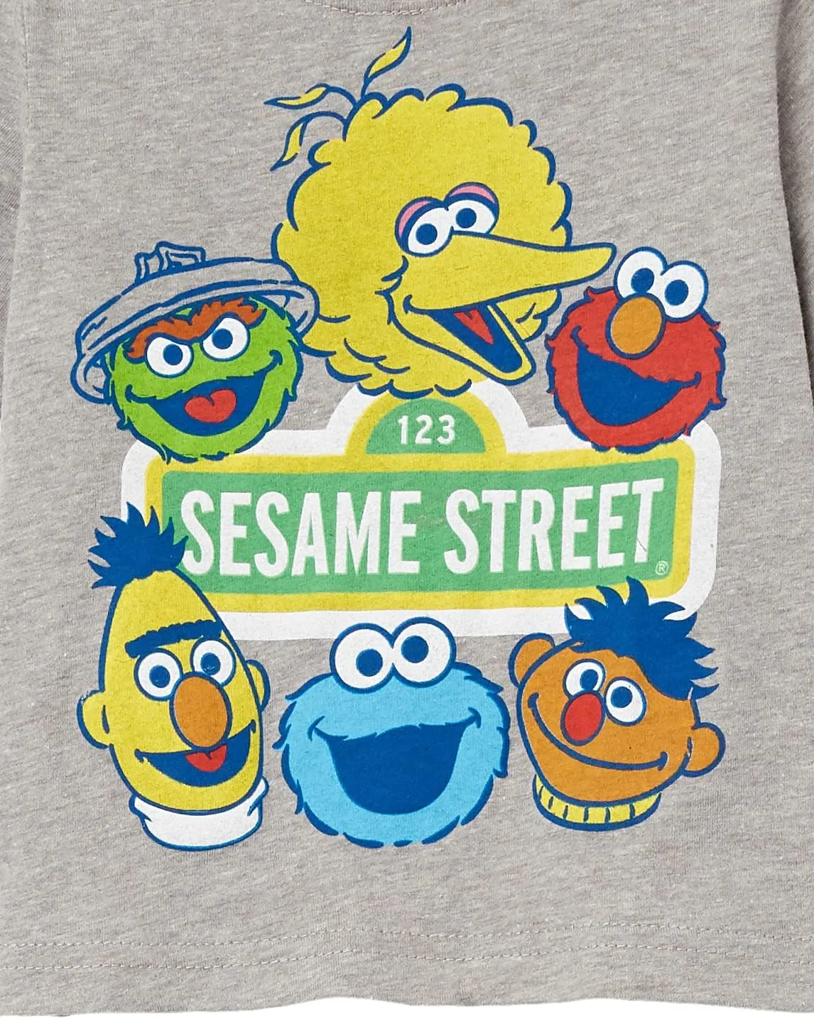 Sesame Street Boys' Elmo Cookie Monster Big Bird, Oscar The Grouch Short Sleeve Tee